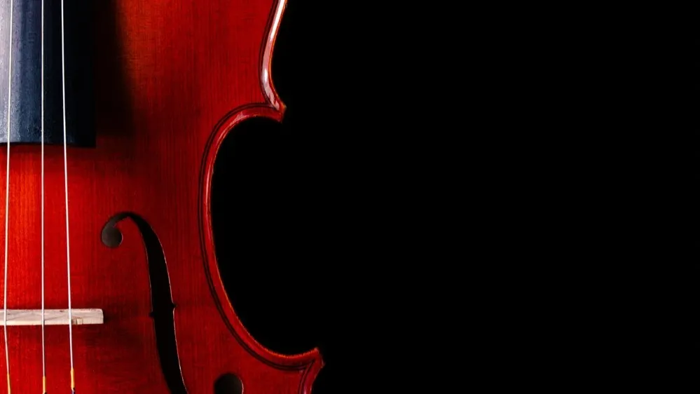 Фото: Megan Kobe/Shutterstock/Fotodom