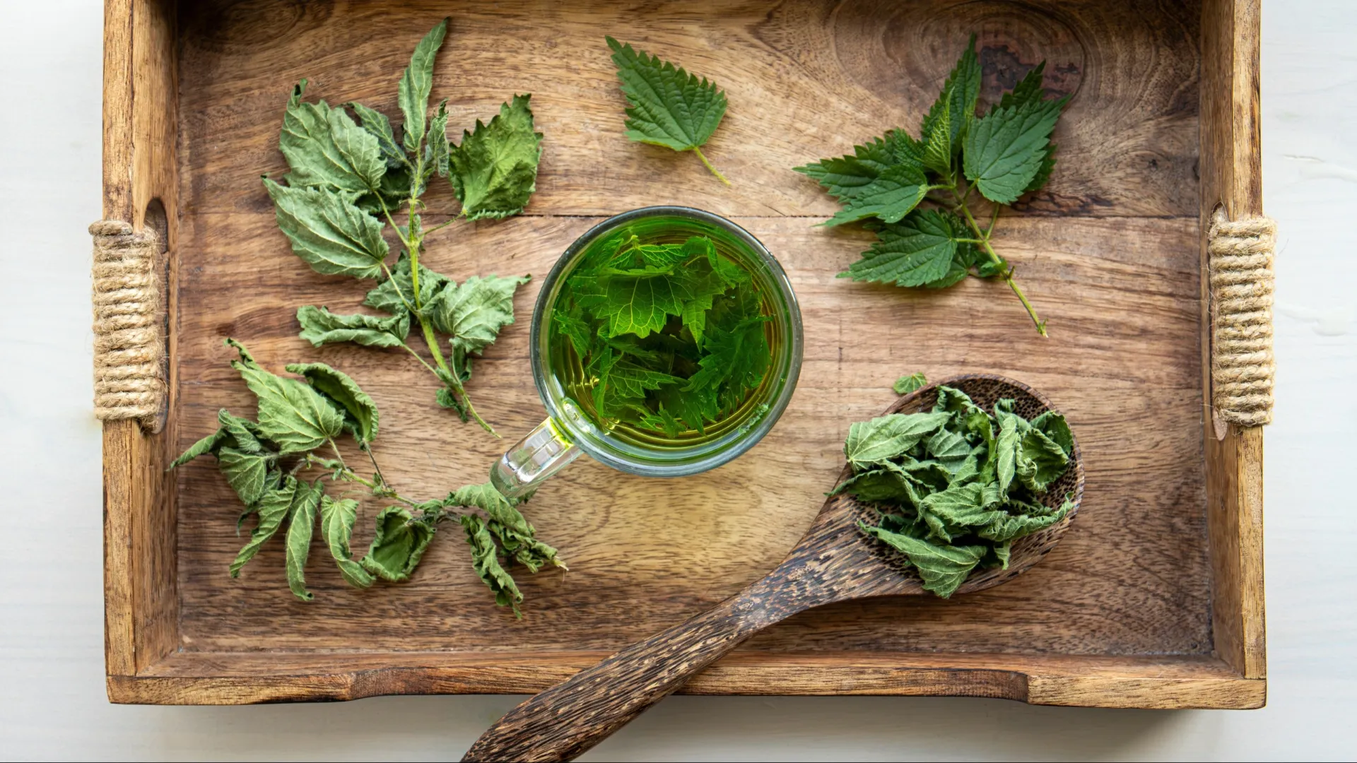 Фото: FotoHelin/Shutterstock/Fotodom