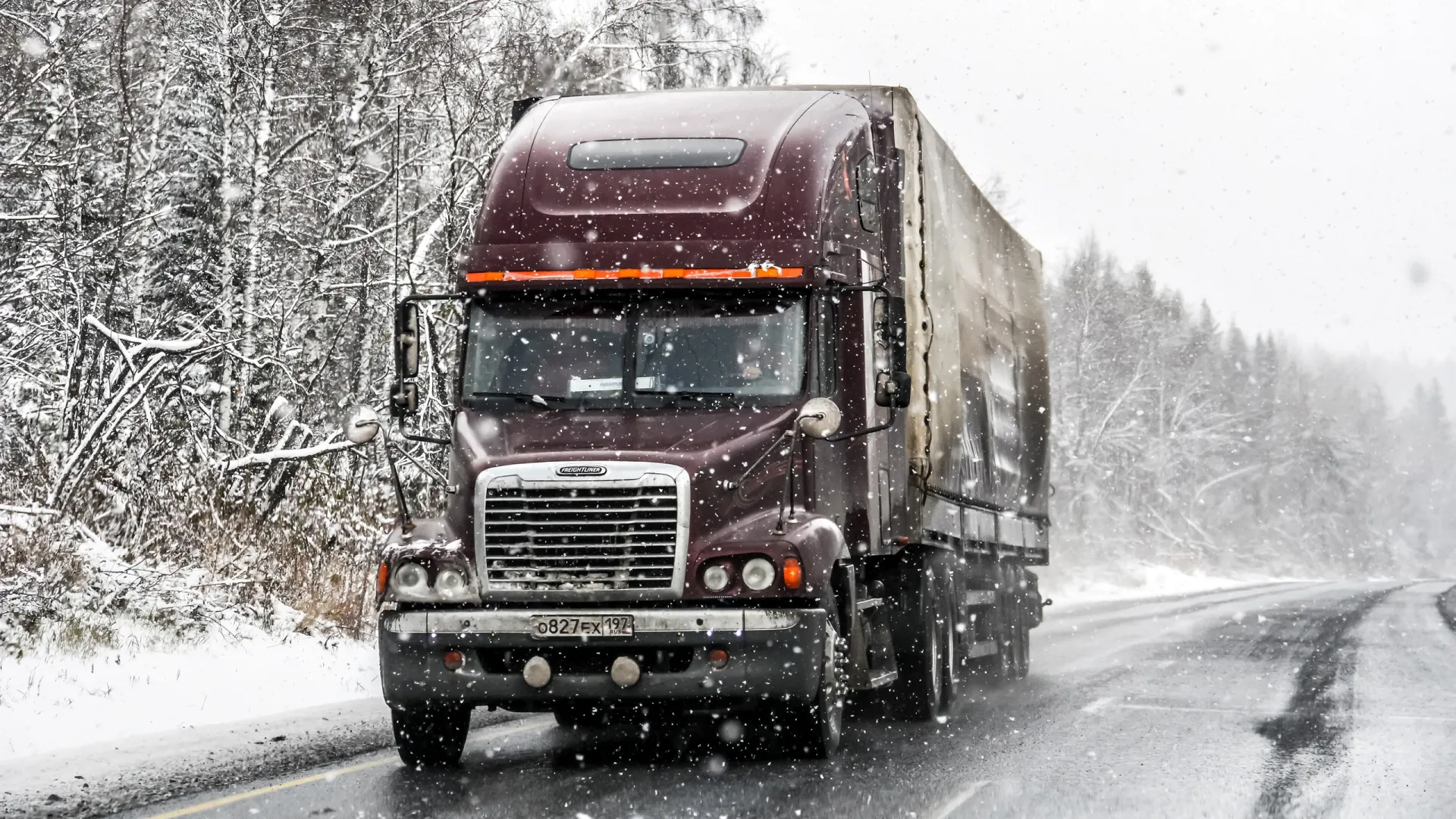 Фото: Art Konovalov/Shutterstock/Fotodom