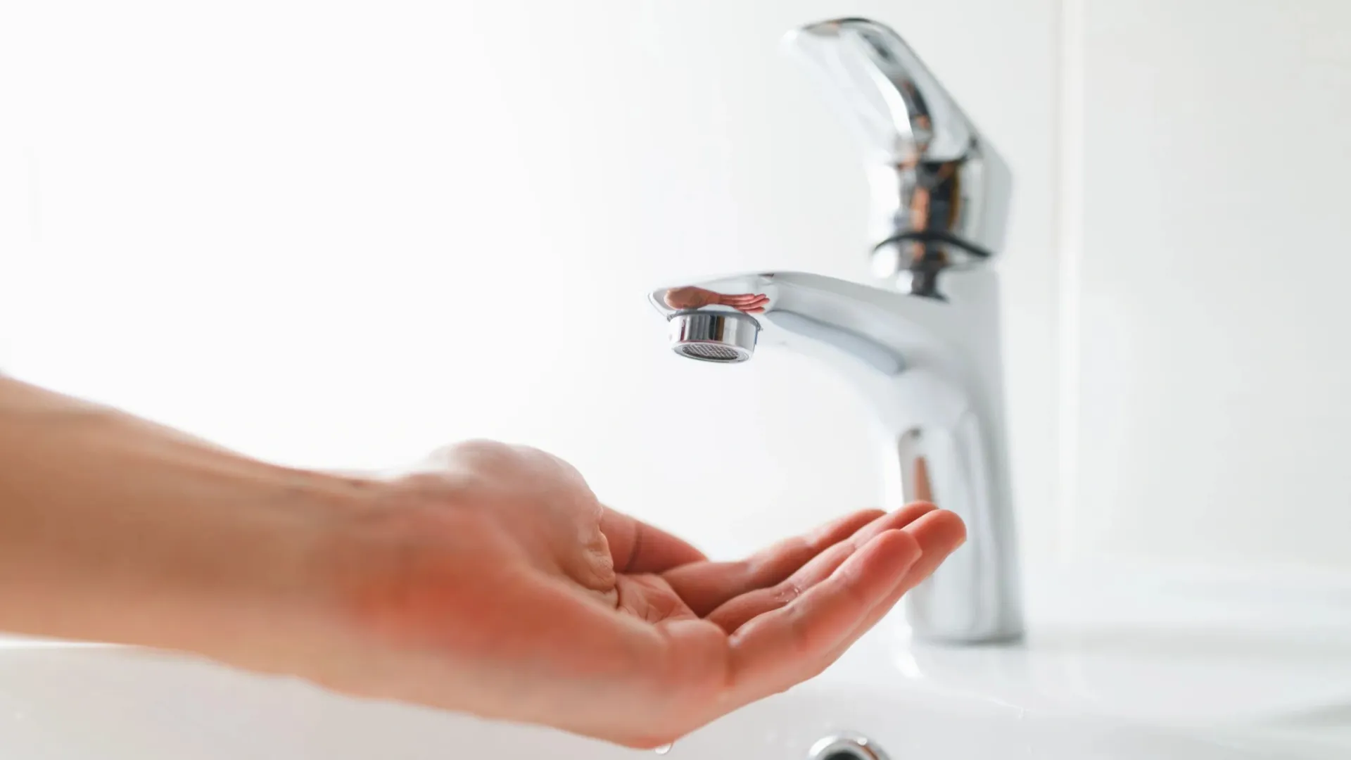 Фото: nikkytok/Shutterstock/Fotodom