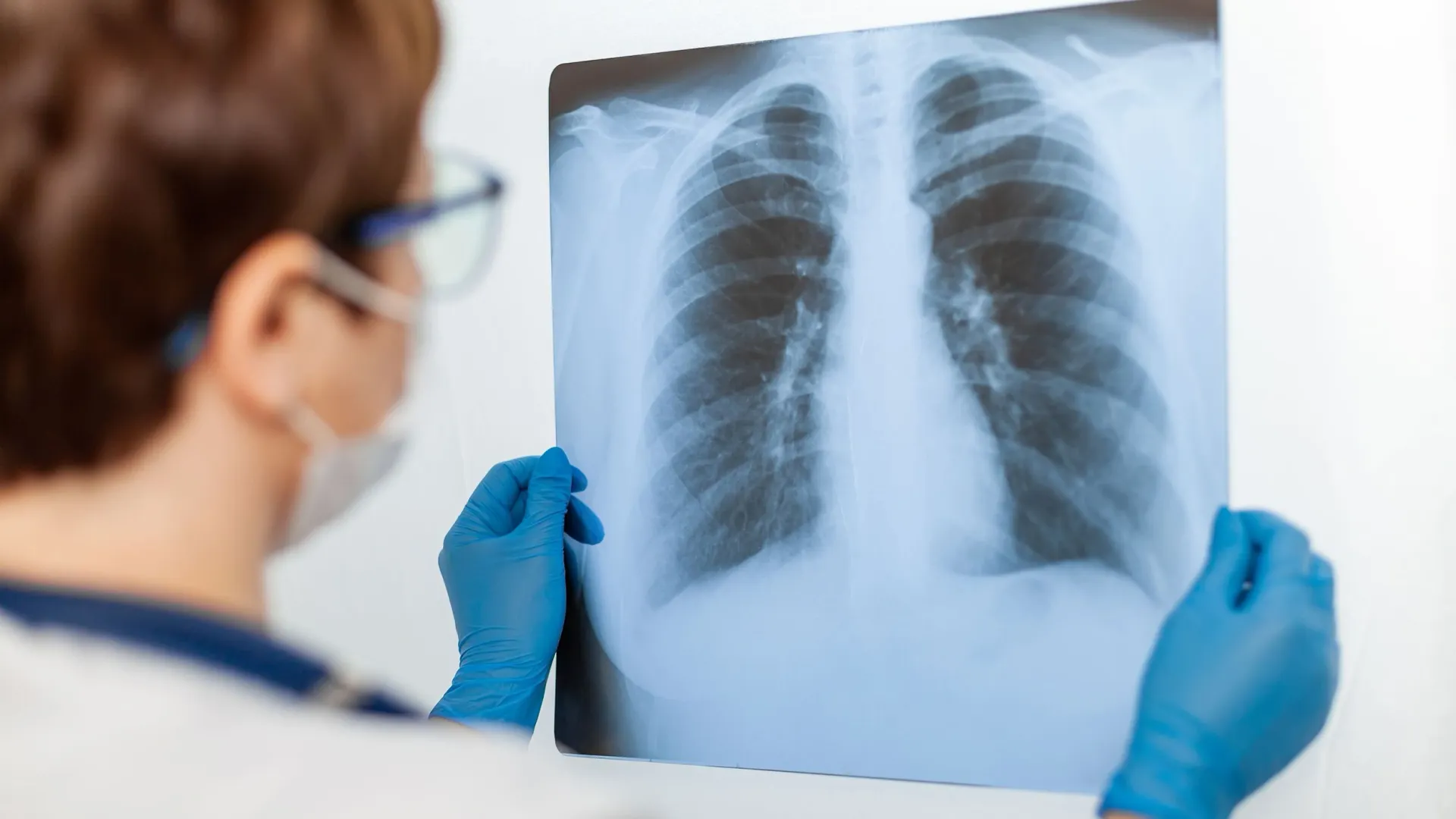 Фото: Shark9208888/Shutterstock/Fotodom