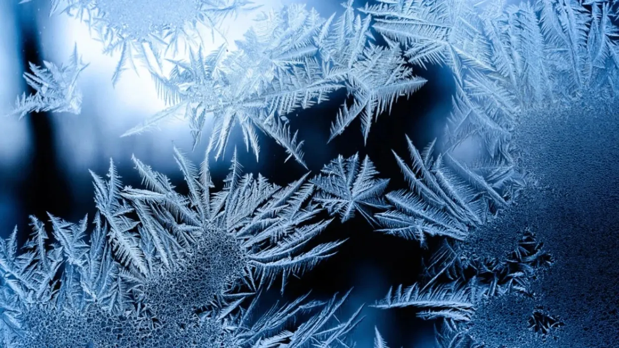 Osman Rana / Unsplash. com