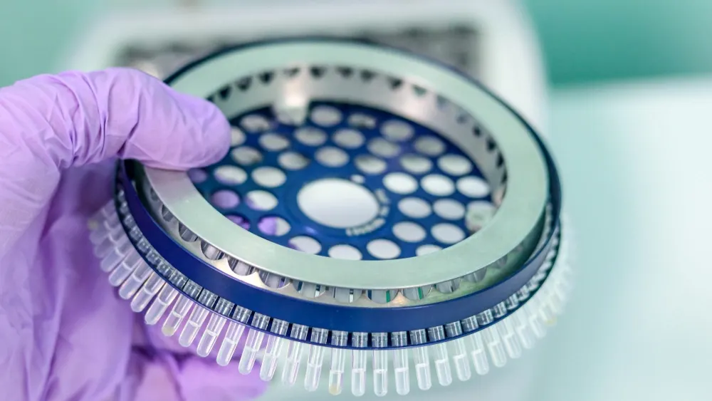 Фото: Tati9/shutterstock