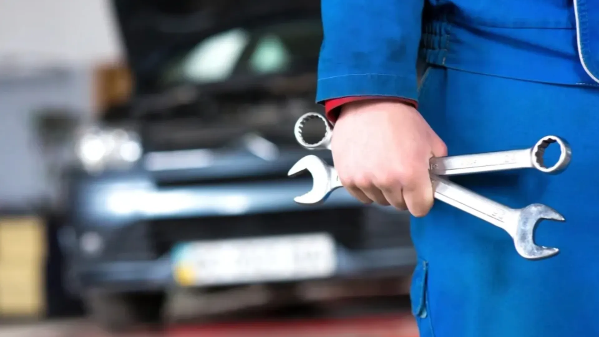 Фото: Rohatynchuk Mykola/Shutterstock