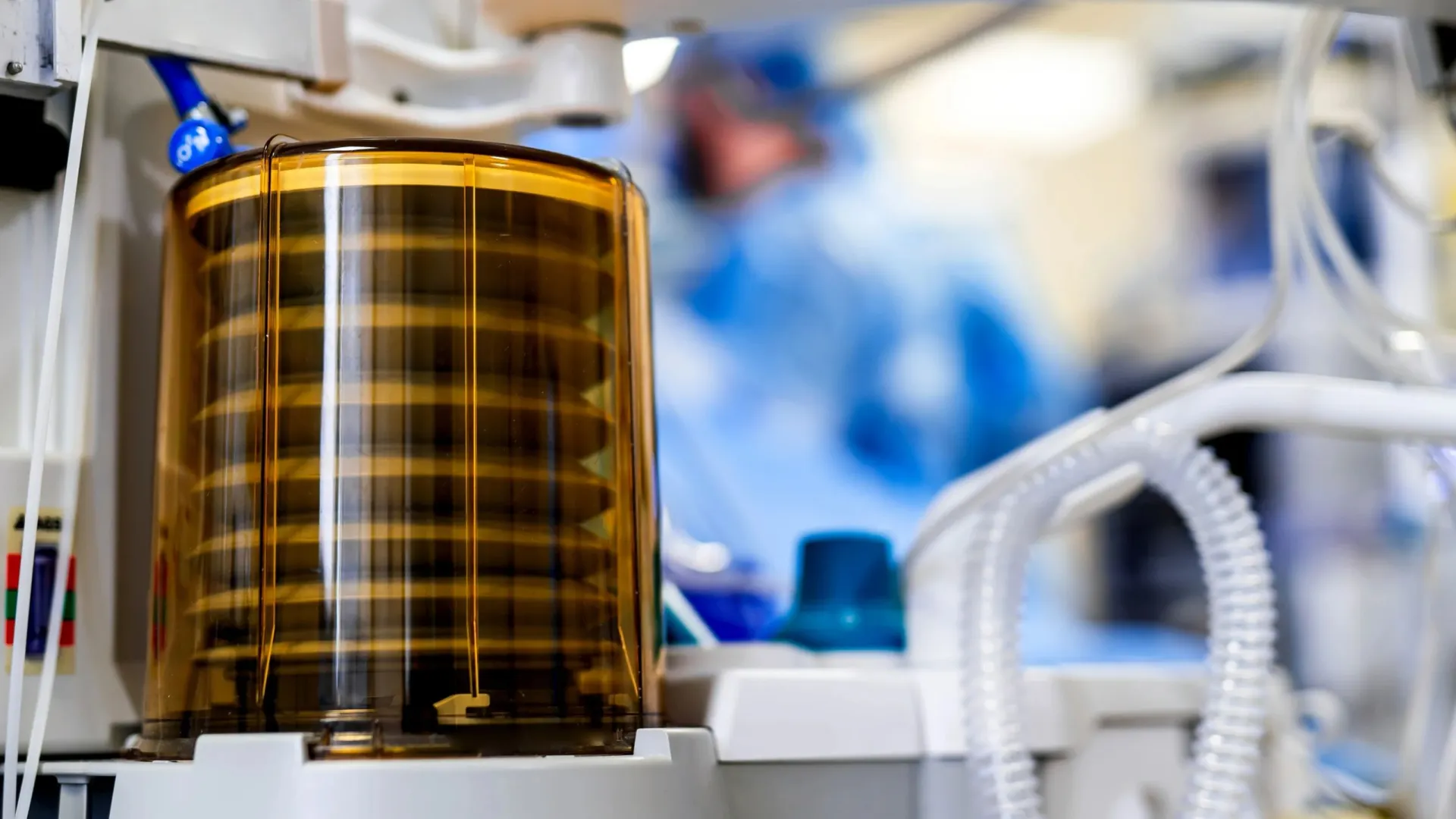 Фото: Terelyuk/Shutterstock/Fotodom