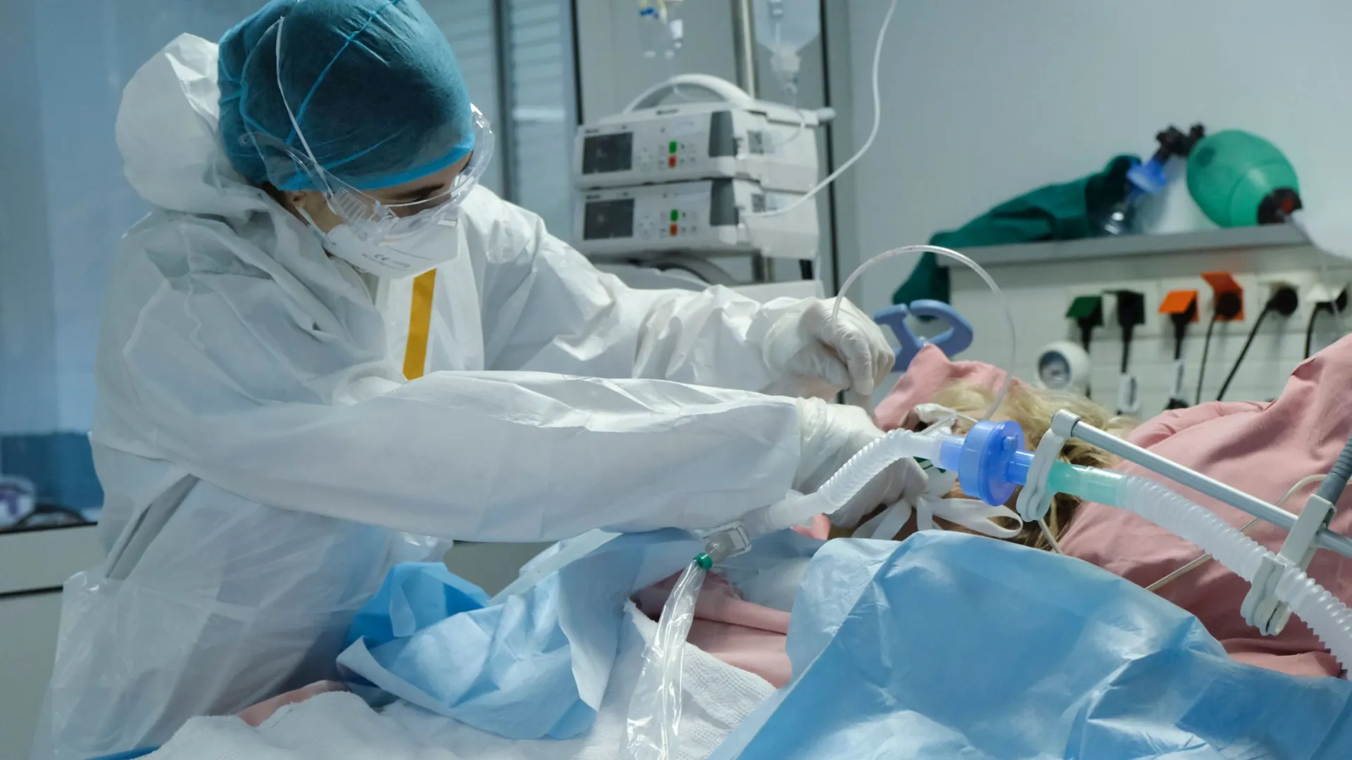 Фото: Alexandros Michailidis/Shutterstock/Fotodom