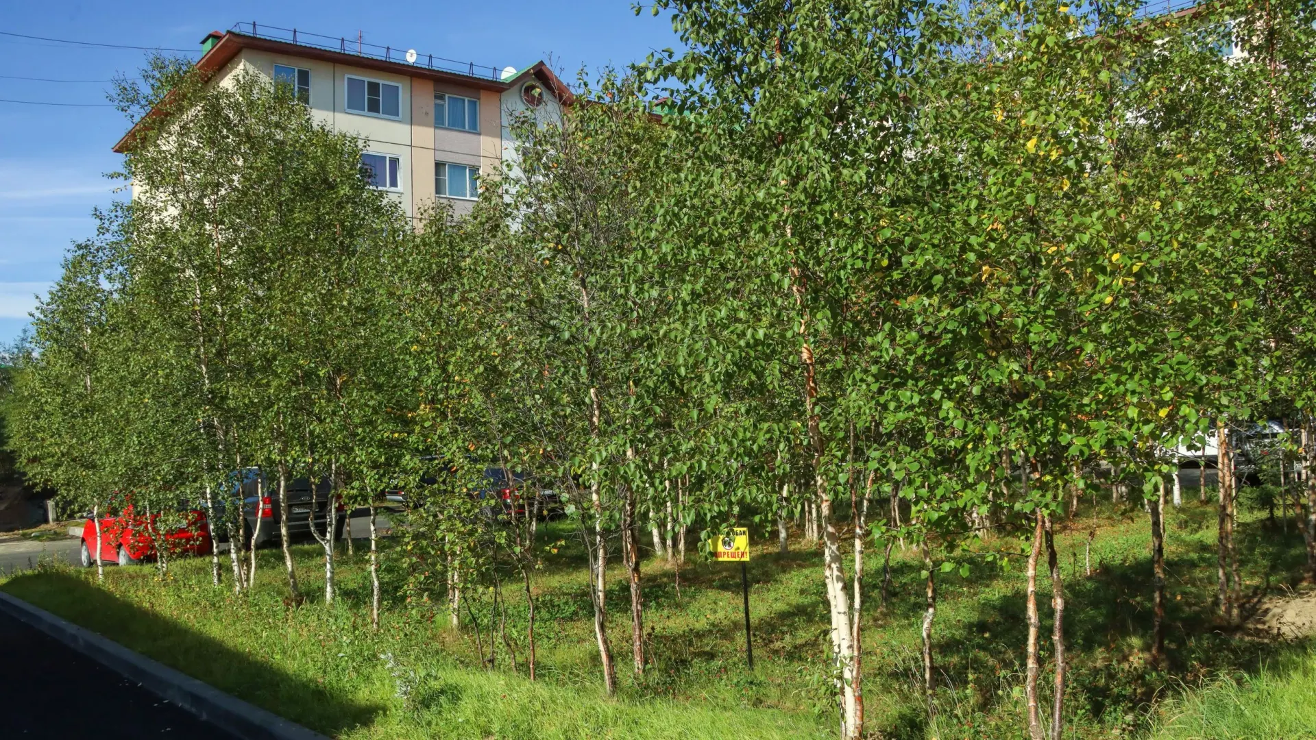 Фото: Василий Петров/«Ямал-Медиа»