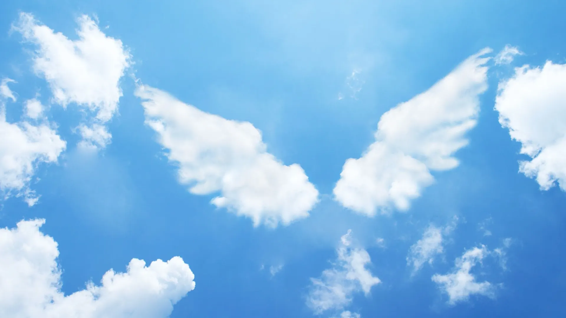 Фото: phloxii/Shutterstock/Fotodom