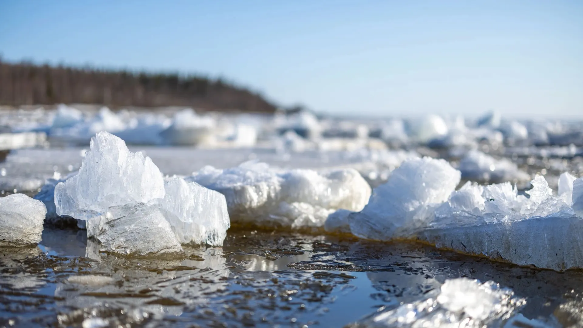 Фото: Юлия Чудинова/«Ямал-Медиа»