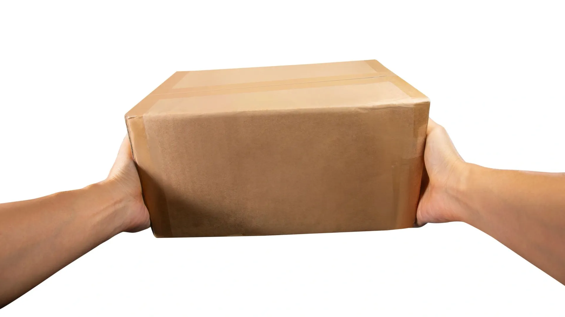 Фото: Runrun2/Shutterstock/Fotodom