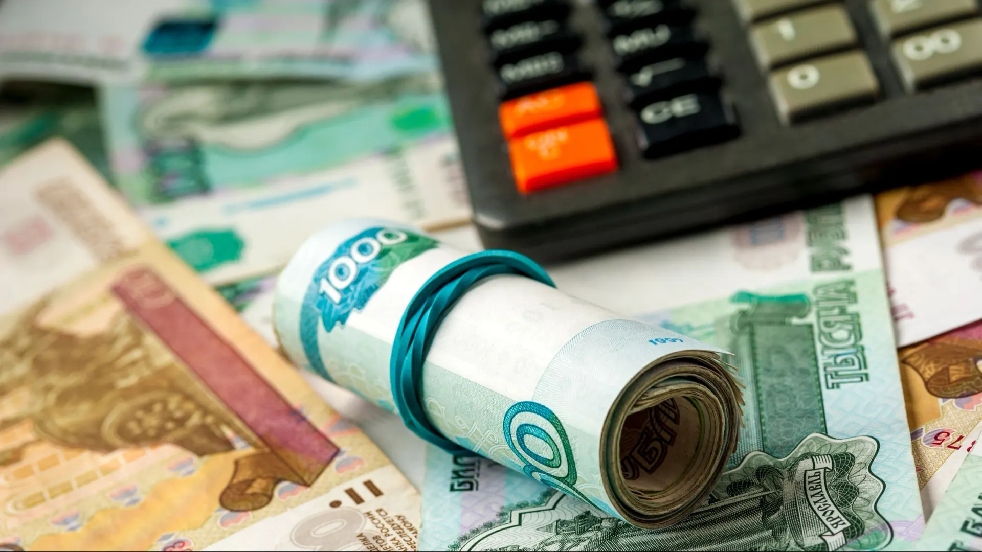 Фото: Paul Biryukov/Shutterstock/Fotodom