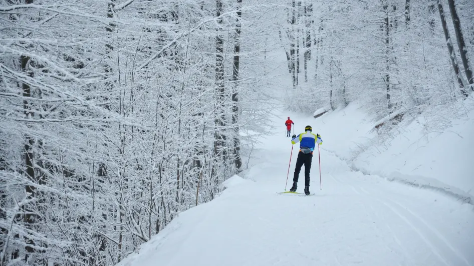 Фото: kovop58/Shutterstock