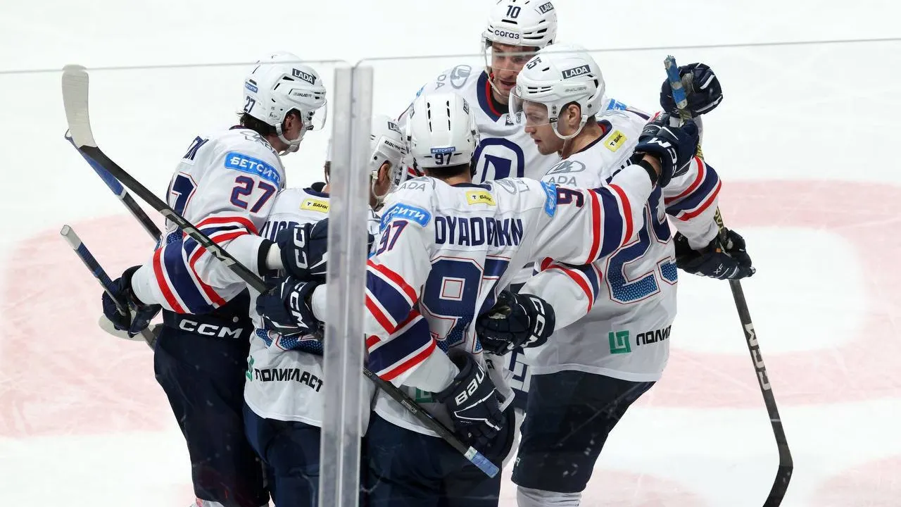 Soglom mushuk rasmlar