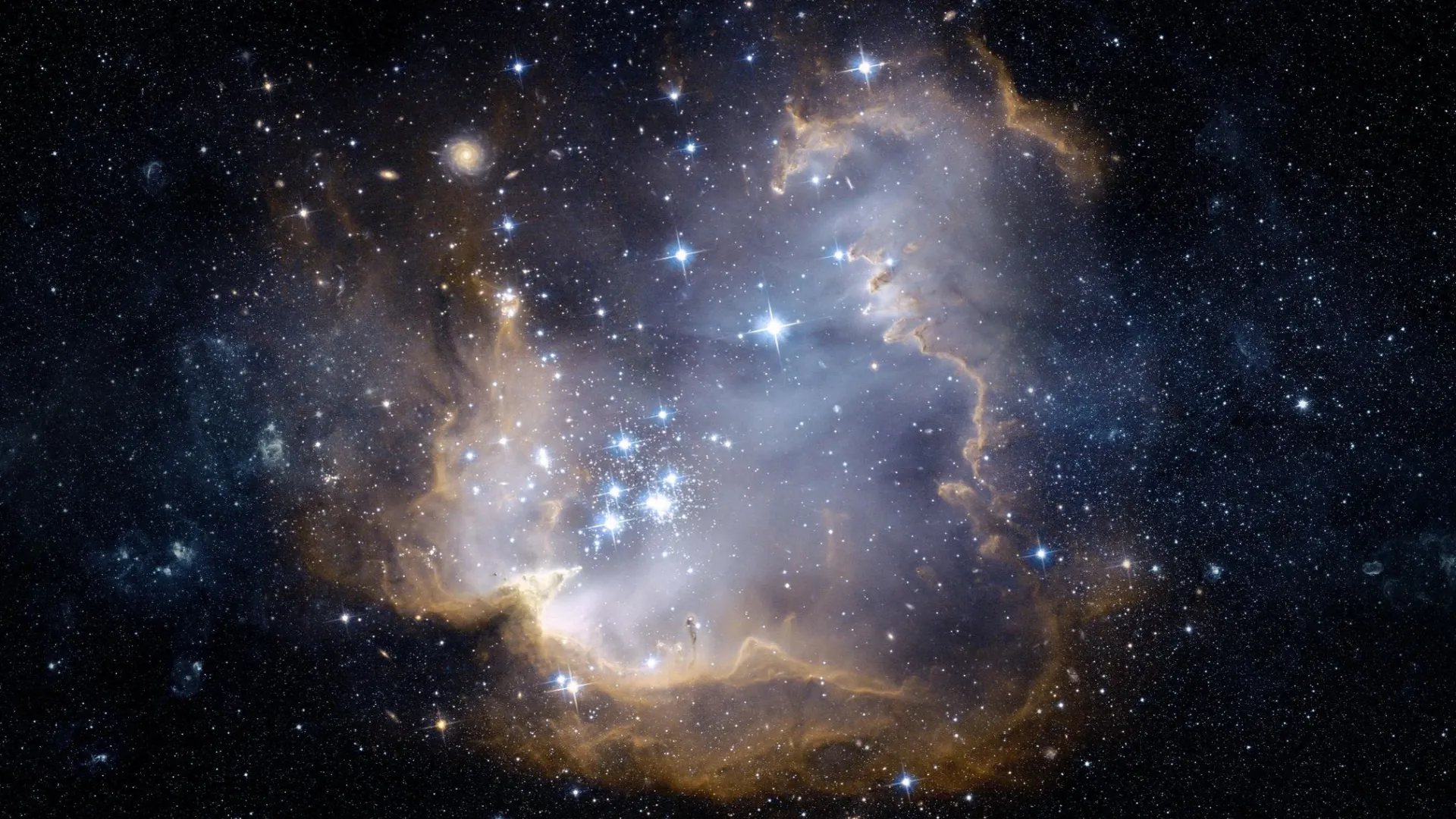 Фото: Triff/Shutterstock/Fotodom