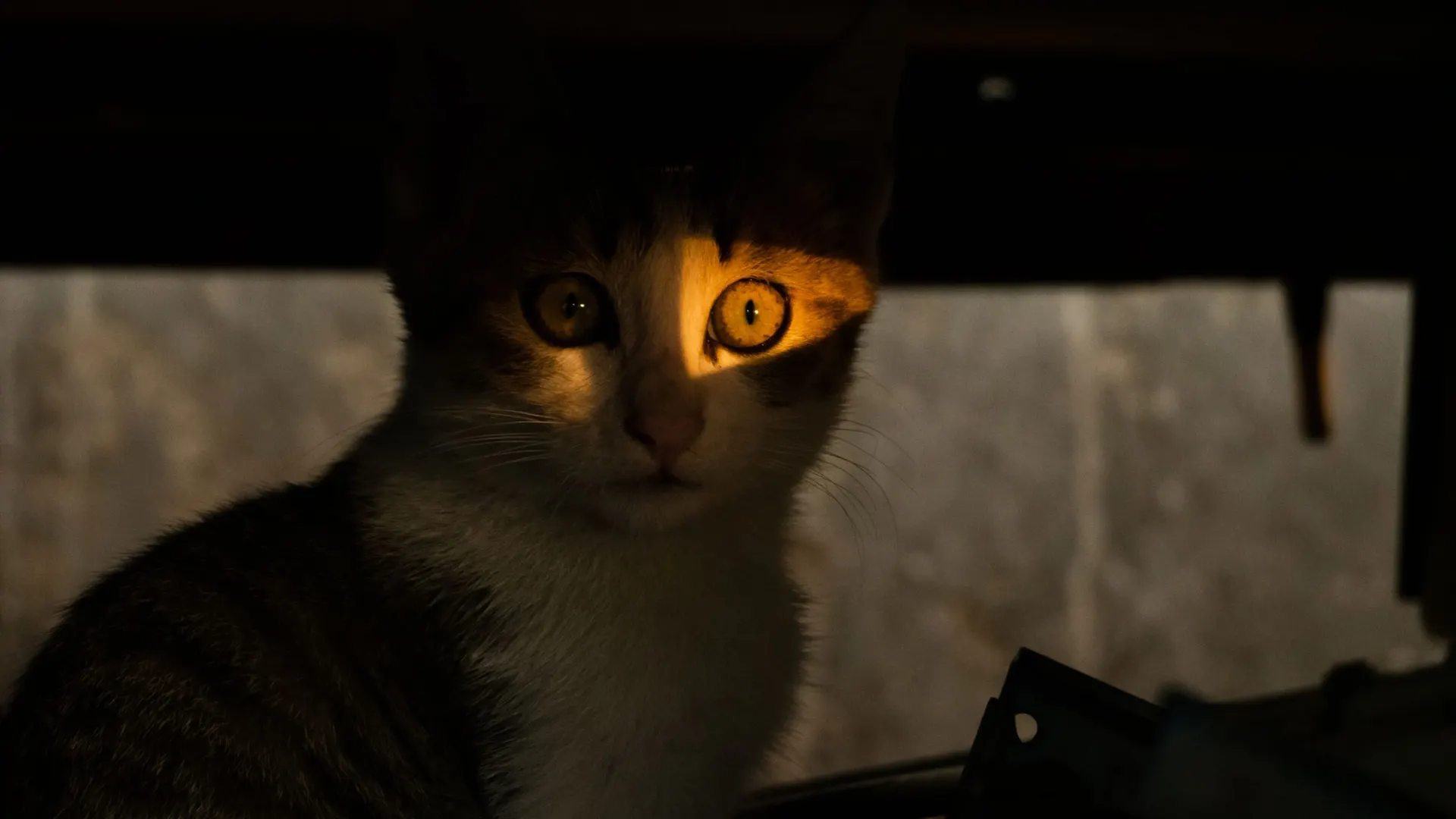 pic