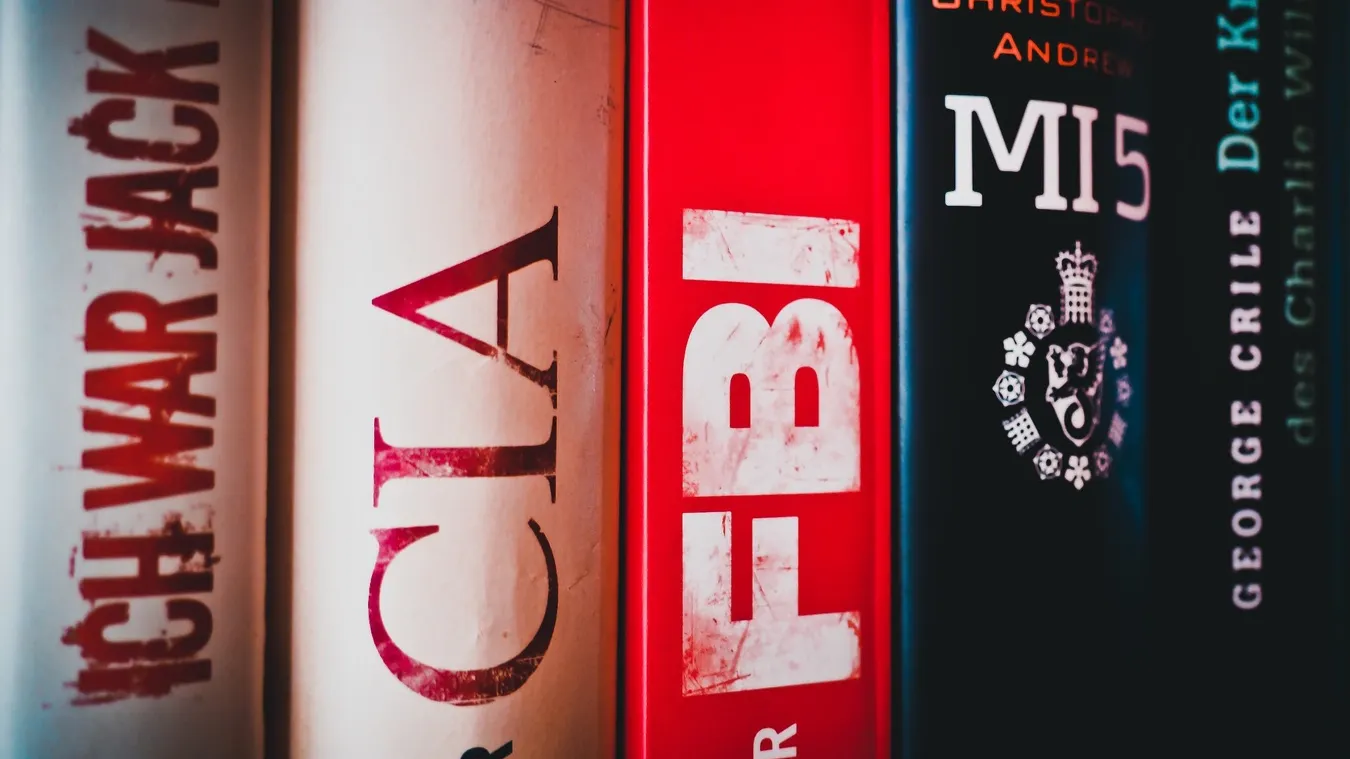 Фото: https://pxhere.com