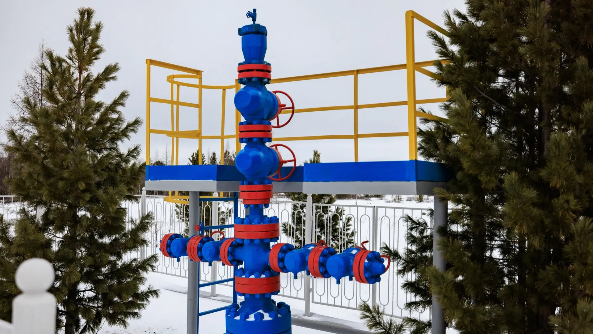 Фото: Сергей Зубков/АНО «Ямал-Медиа»