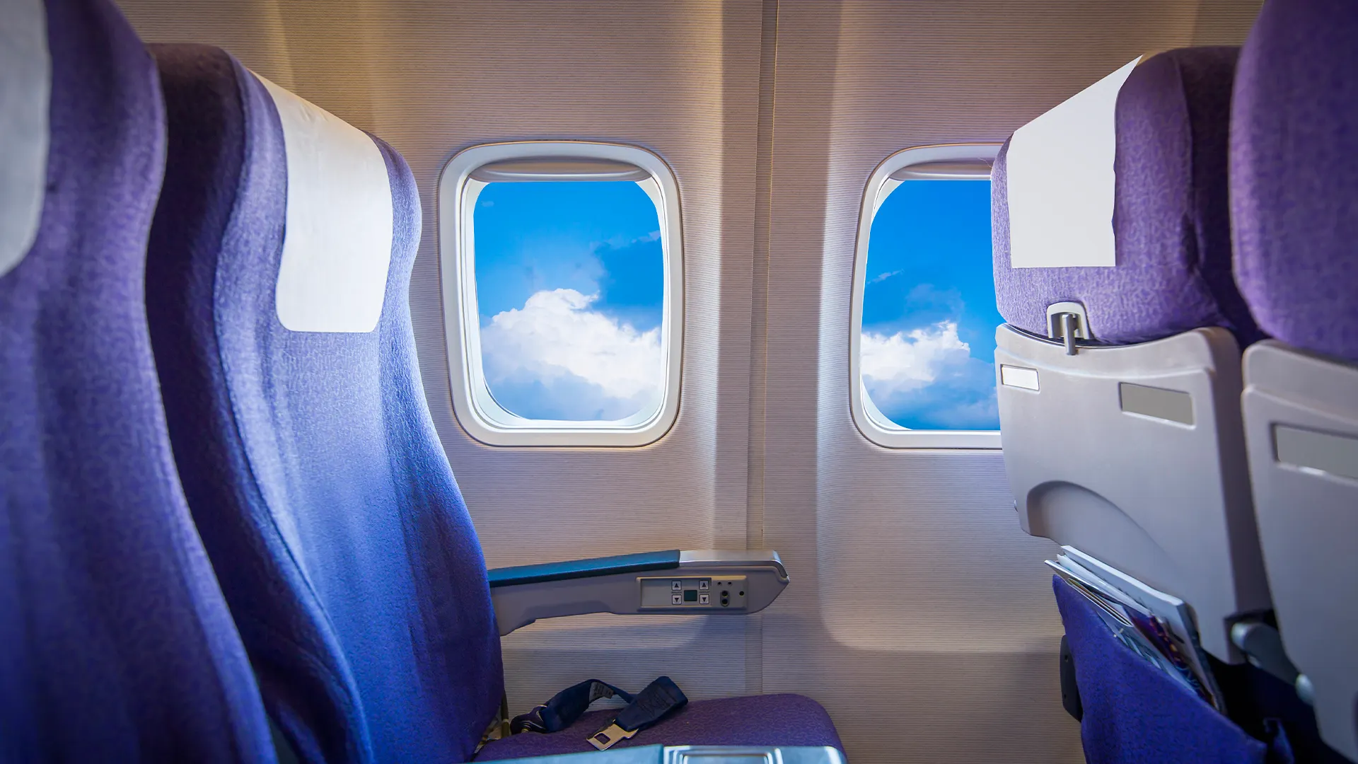 Фото: Wang An Qi /Shutterstock.com