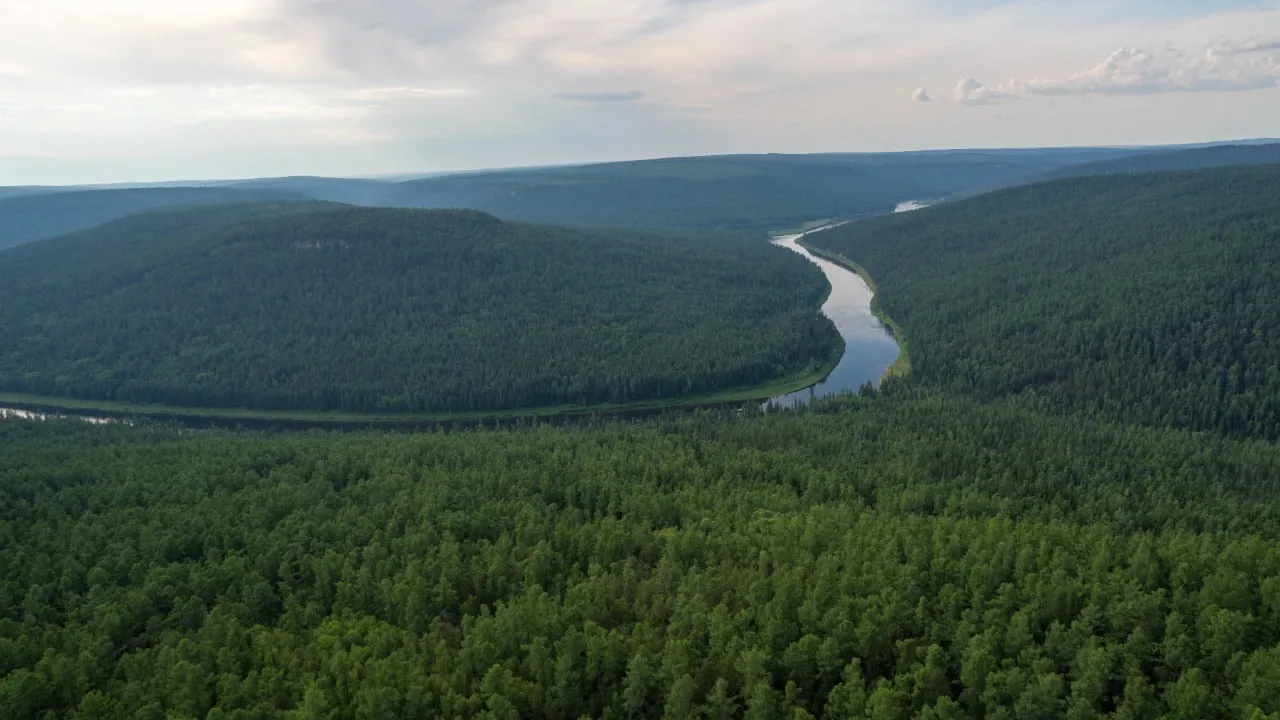 Фото: Федеральная Авиалесоохрана