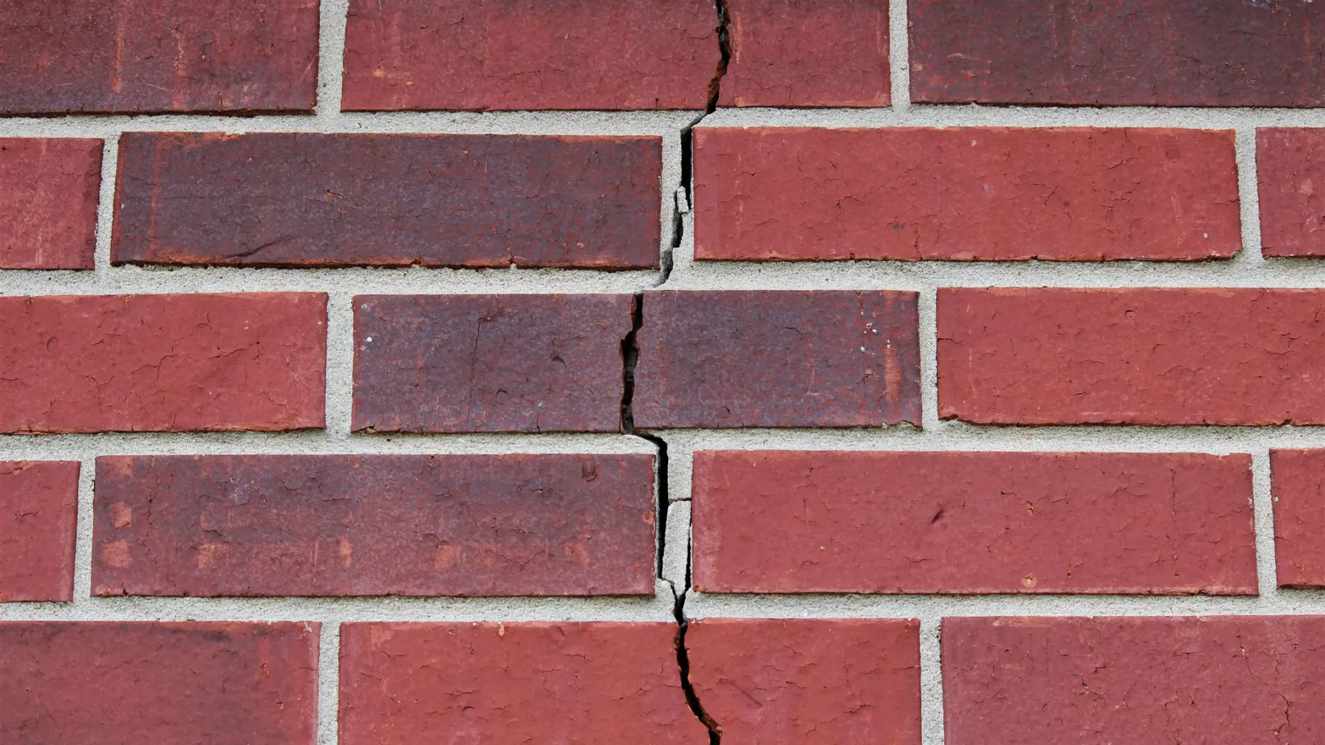 Фото: Jasmine Sahin/Shutterstock/Fotodom