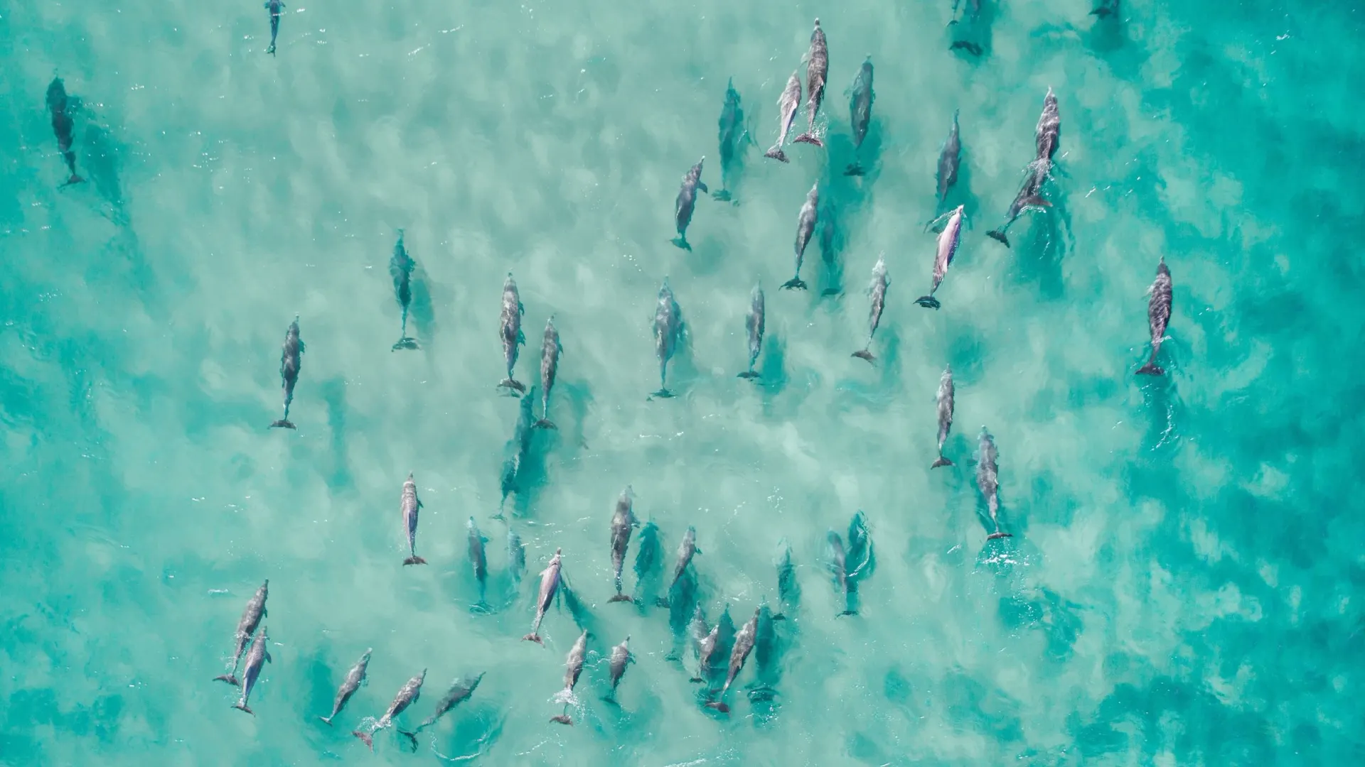 Фото: F Photography R/Shutterstock/Fotodom