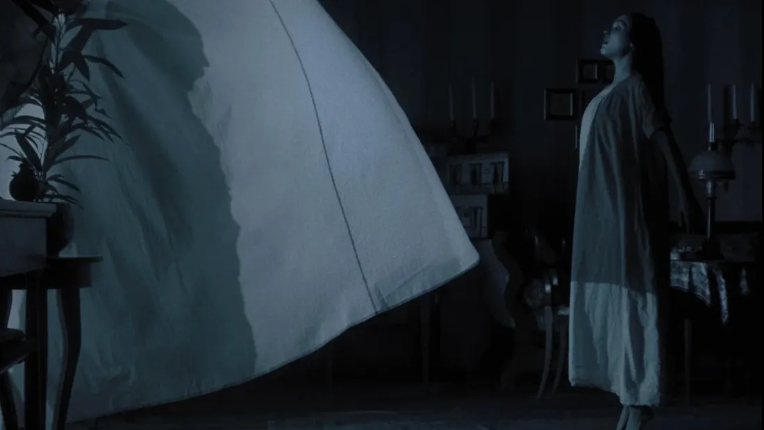 Кадр из фильма «Носферату». Фото: Studio 8, Maiden Voyage Pictures/Focus Features, Universal Pictures/kinopoisk.ru