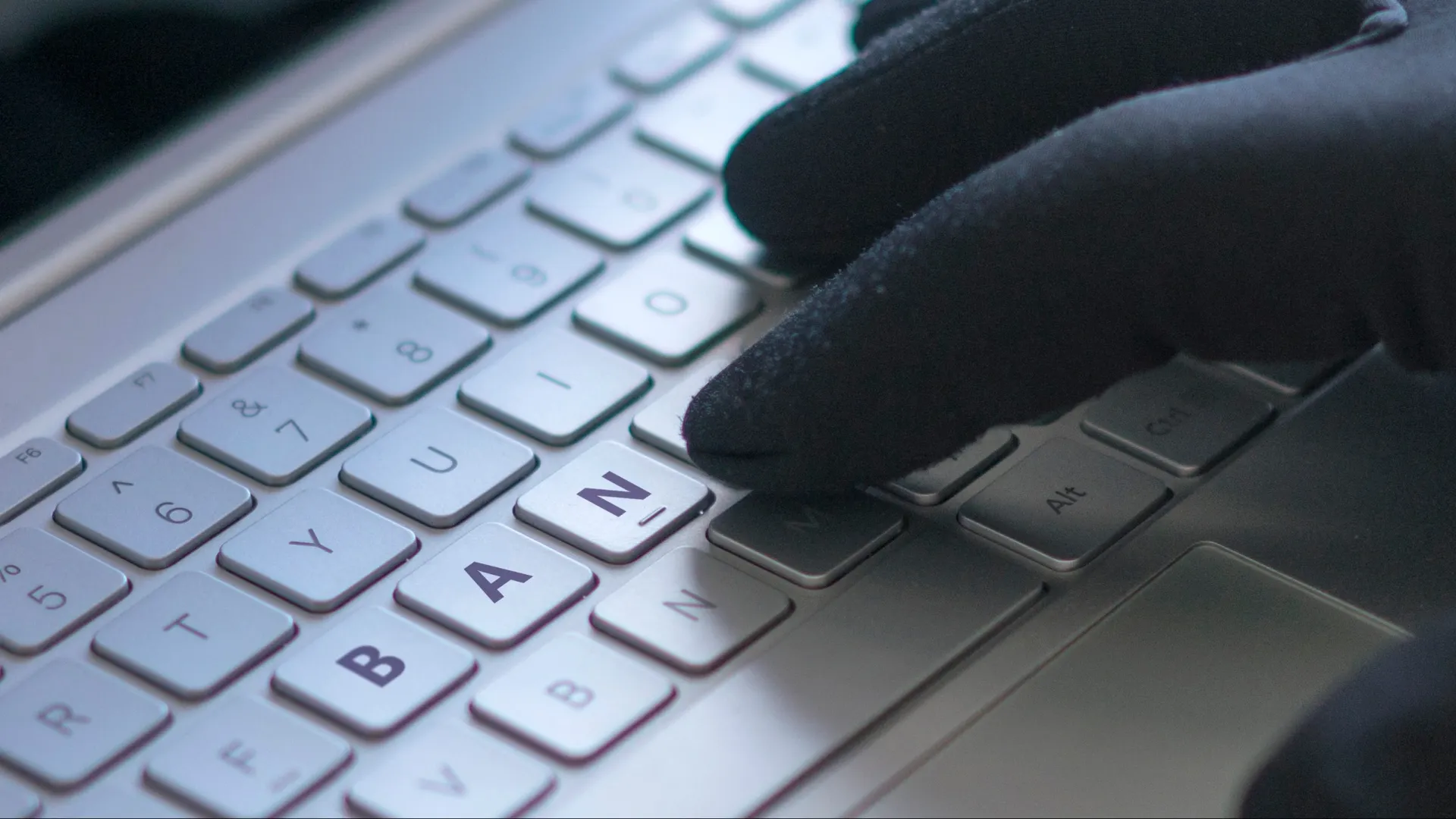 Фото: znakki/Shutterstock/Fotodom