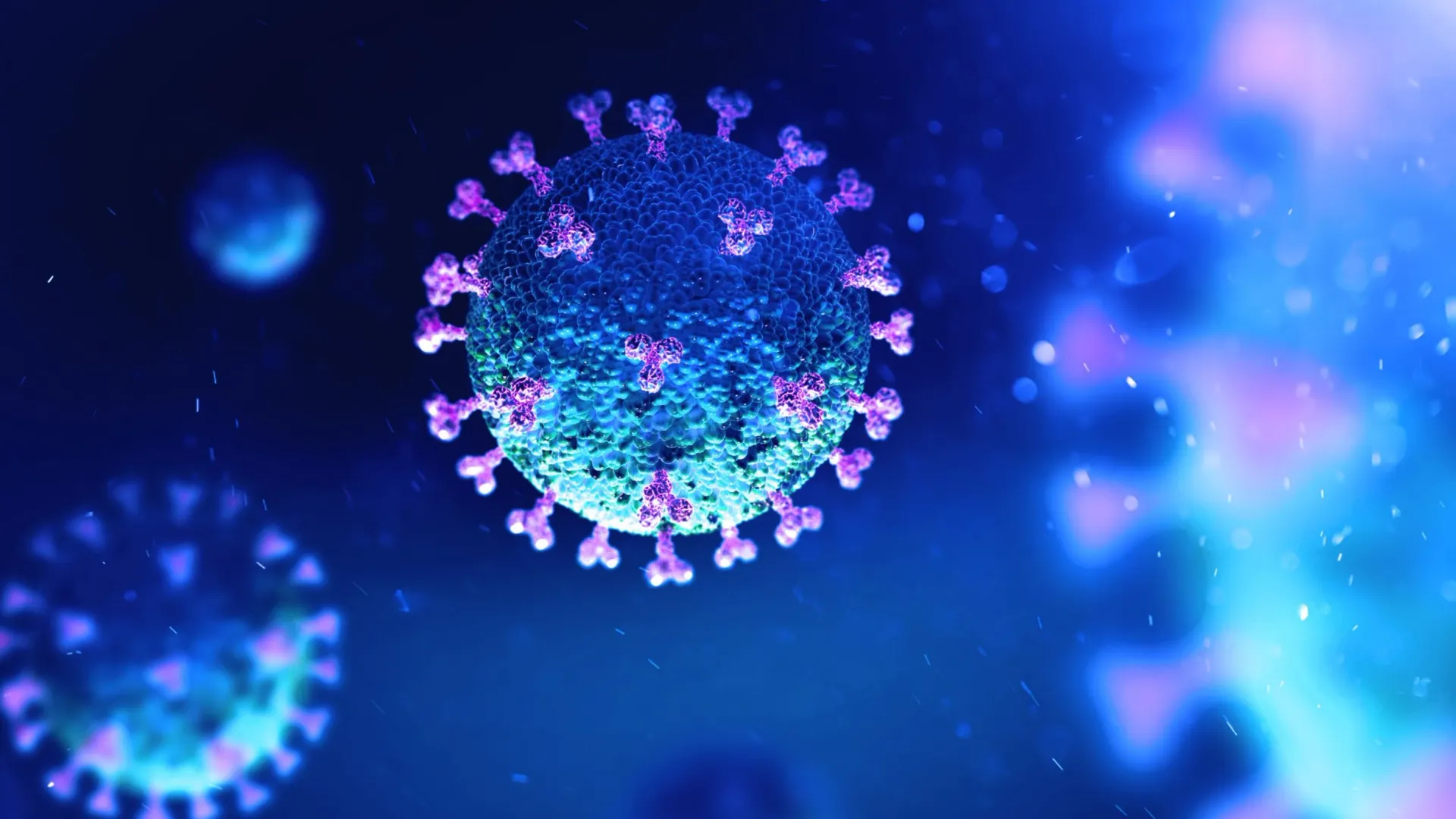 Фото: Andrii Vodolazhskyi/Shutterstock/Fotodom