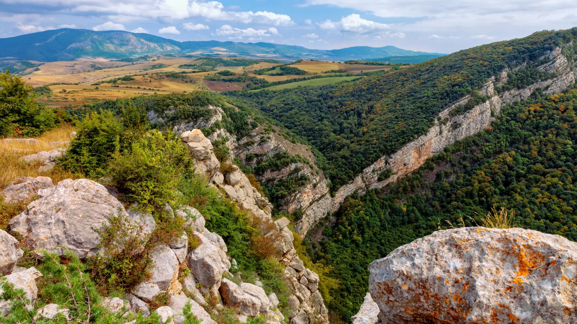 Фото: Gromwell/Shutterstock/Fotodom