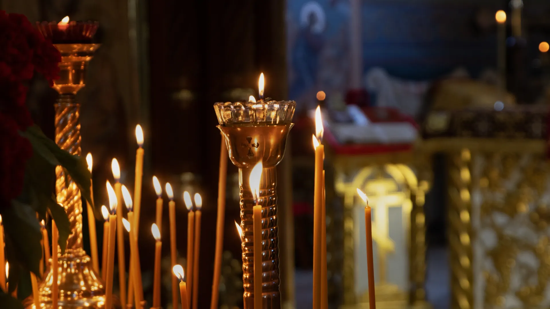 Фото: A_Lesik/Shutterstock/Fotodom