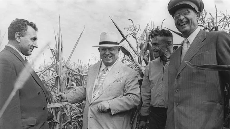 Царица полей — кукуруза. 1961 г. Фото: Анатолий Егоров/МАММ/МДФ/russiainphoto.ru