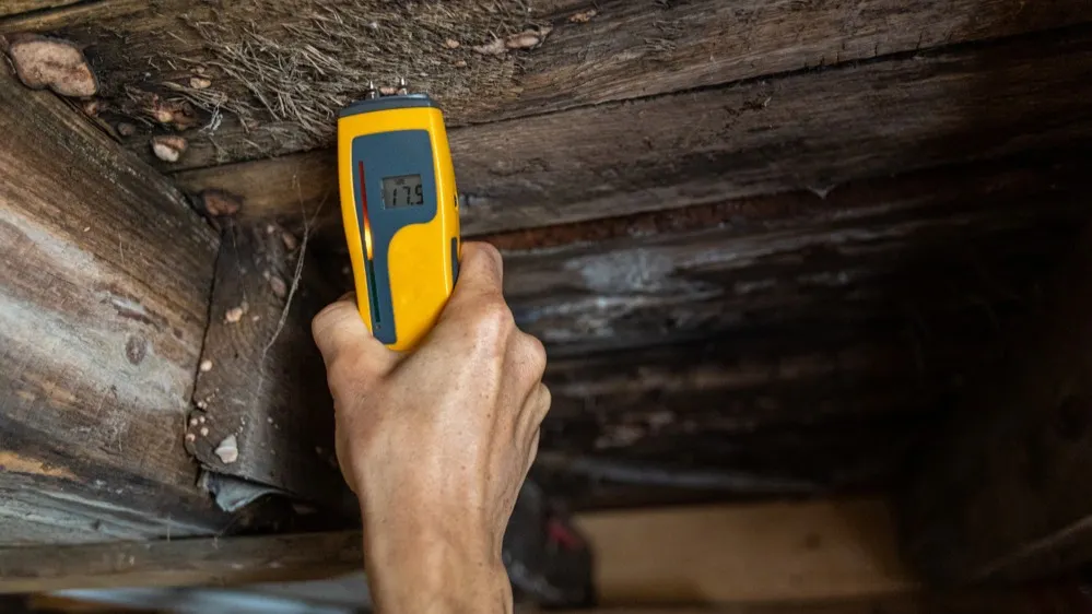 Фото: Valmedia/Shutterstock/Fotodom