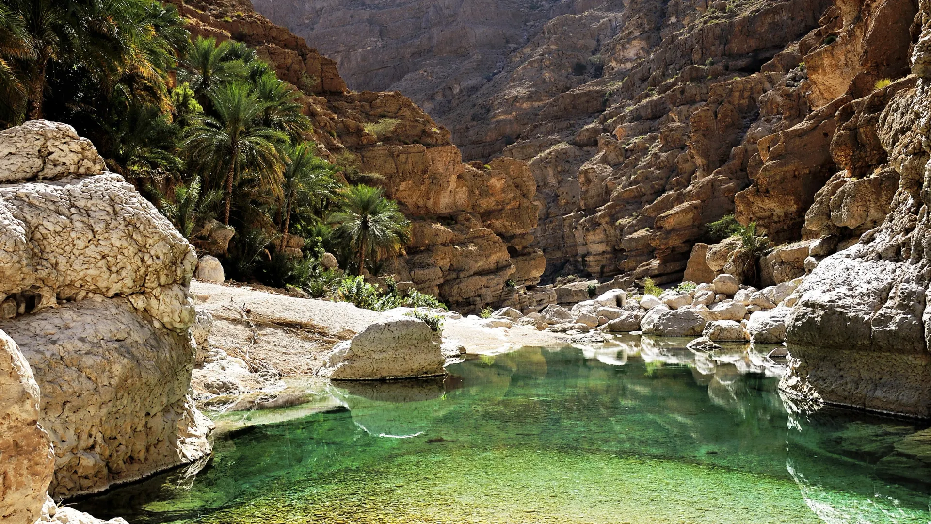Фото: JFFotografie/Shutterstock/Fotodom