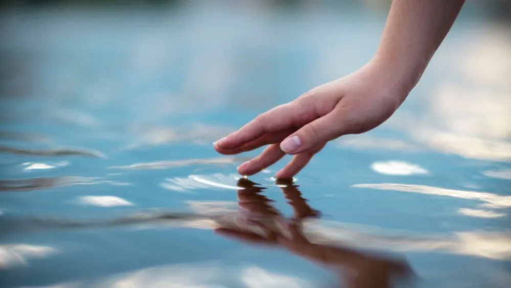 Фото: Alisa Midler/Shutterstock/Fotodom