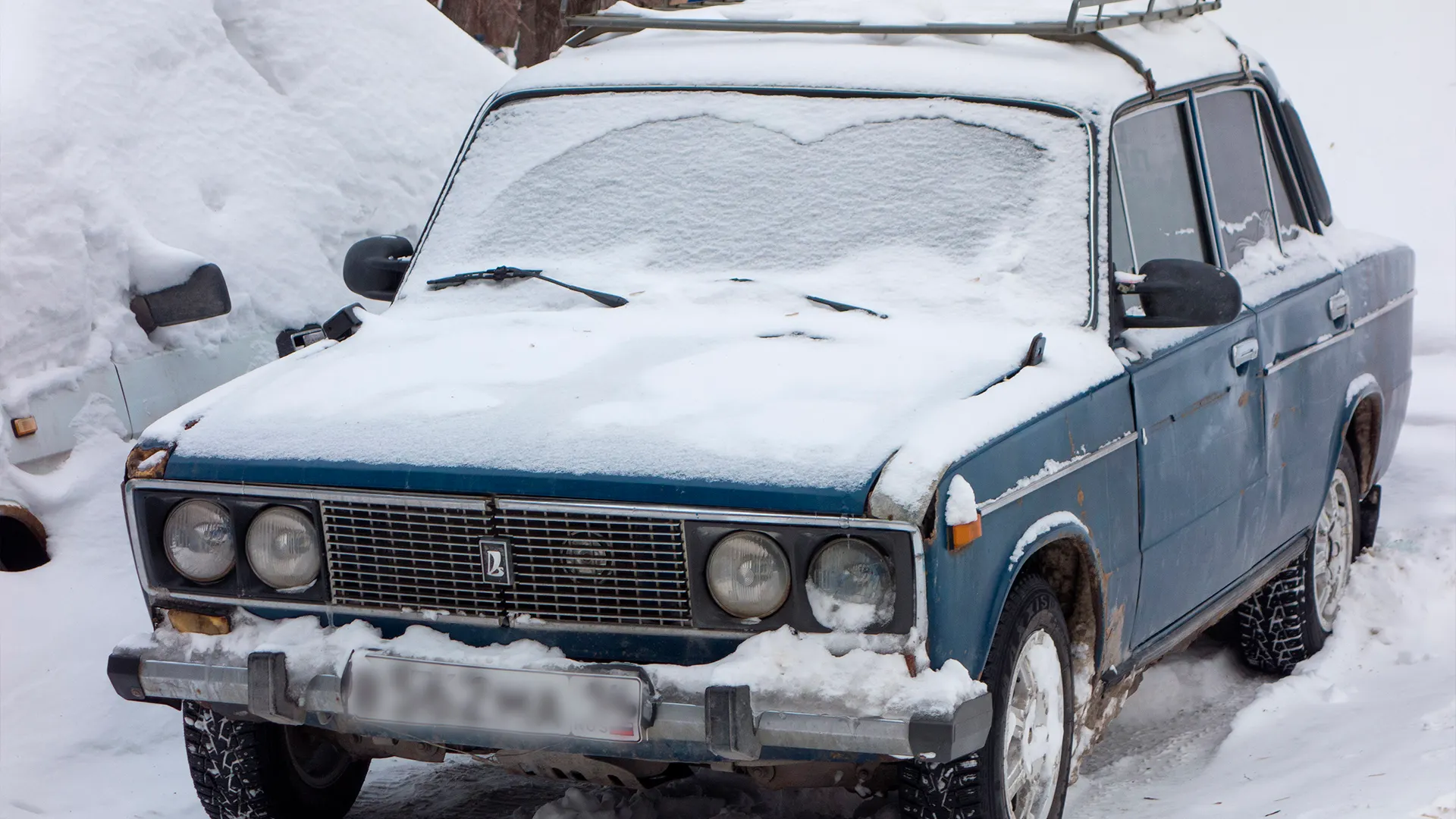 Фото: Car Spotter /Shutterstock.com