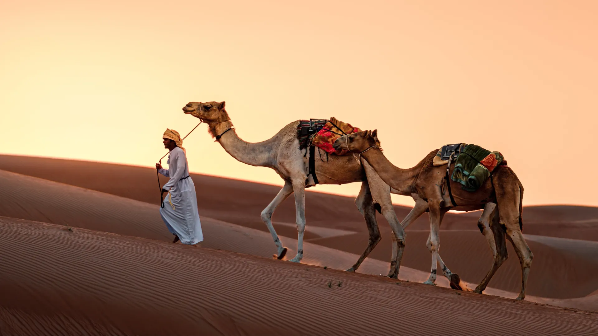 Фото: Subash Rajesh/Shutterstock/Fotodom