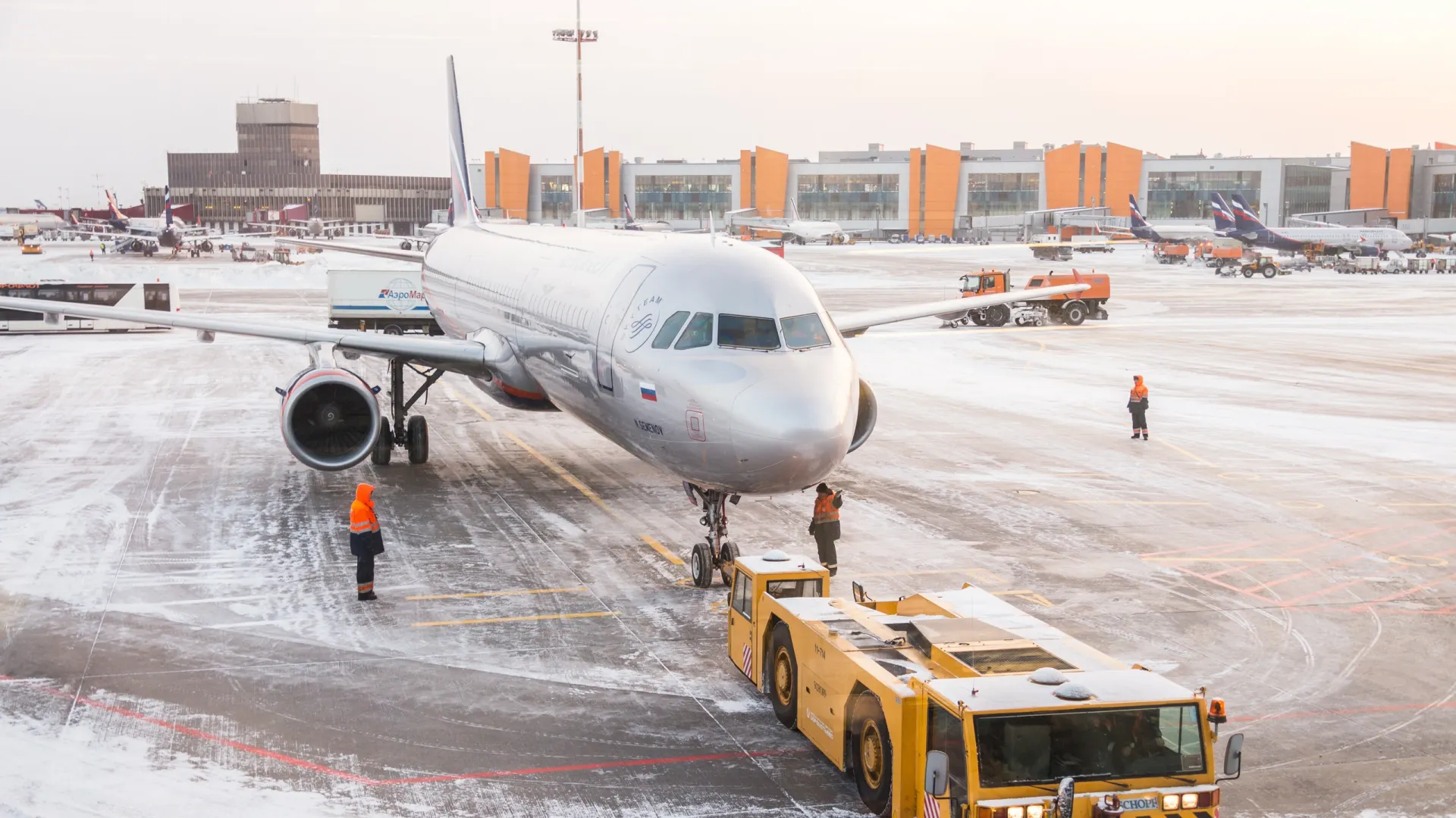 Фото: mariakray/Shutterstock/Fotodom