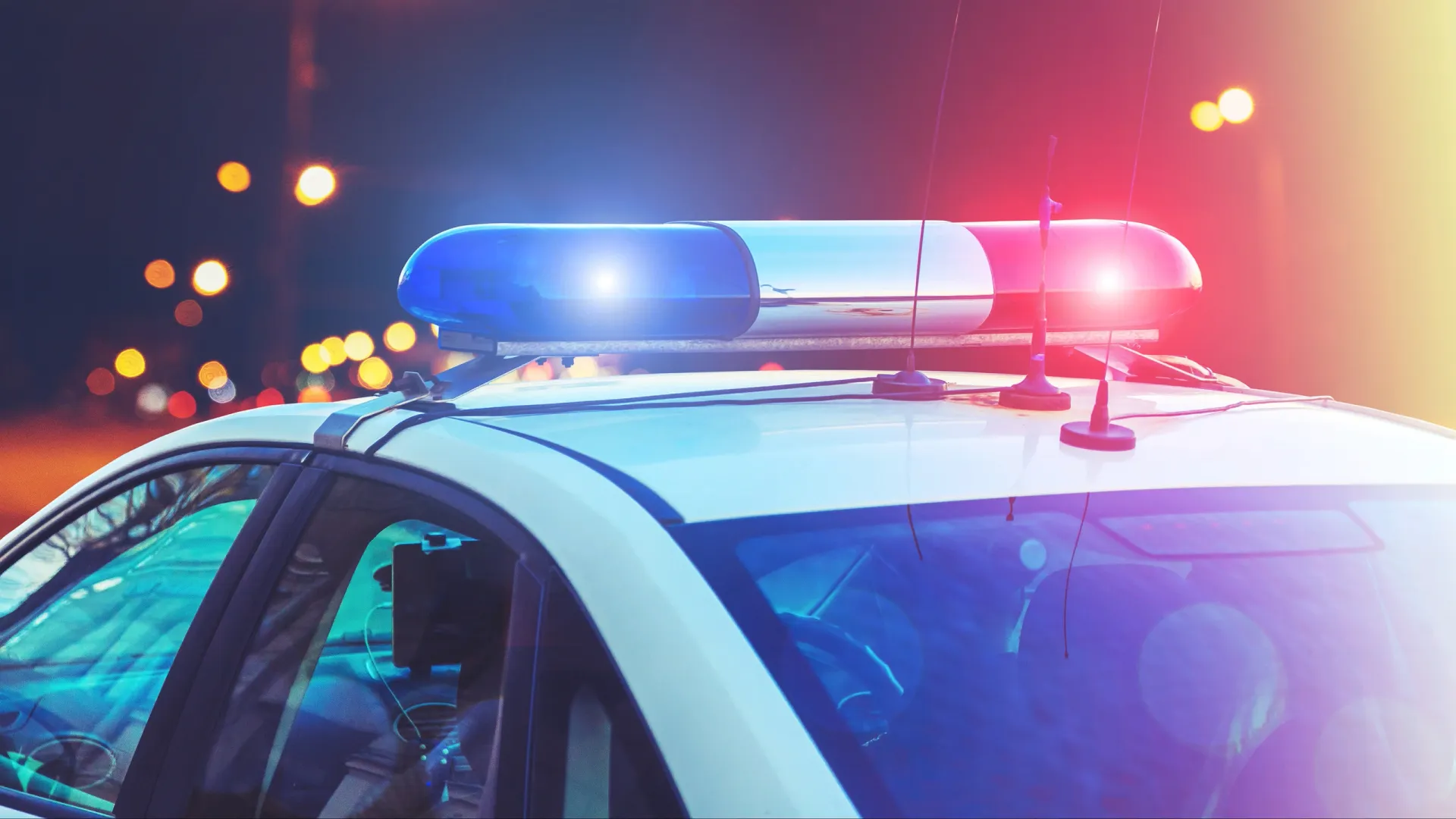 Фото: Fedorovekb/Shutterstock/Fotodom