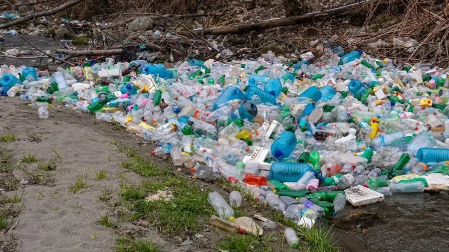 Фото: Flystock/Shutterstock/Fotodom