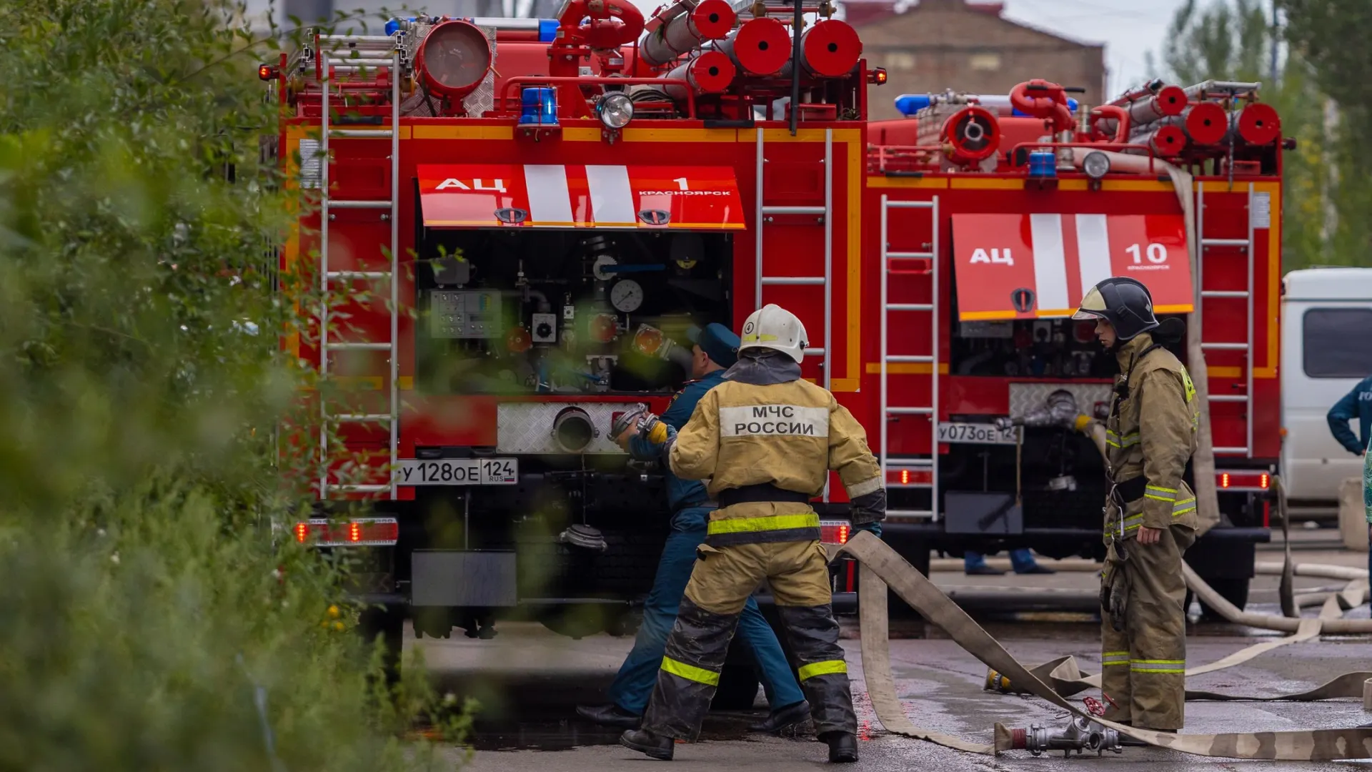 Фото: Al.geba/Shutterstock/Fotodom