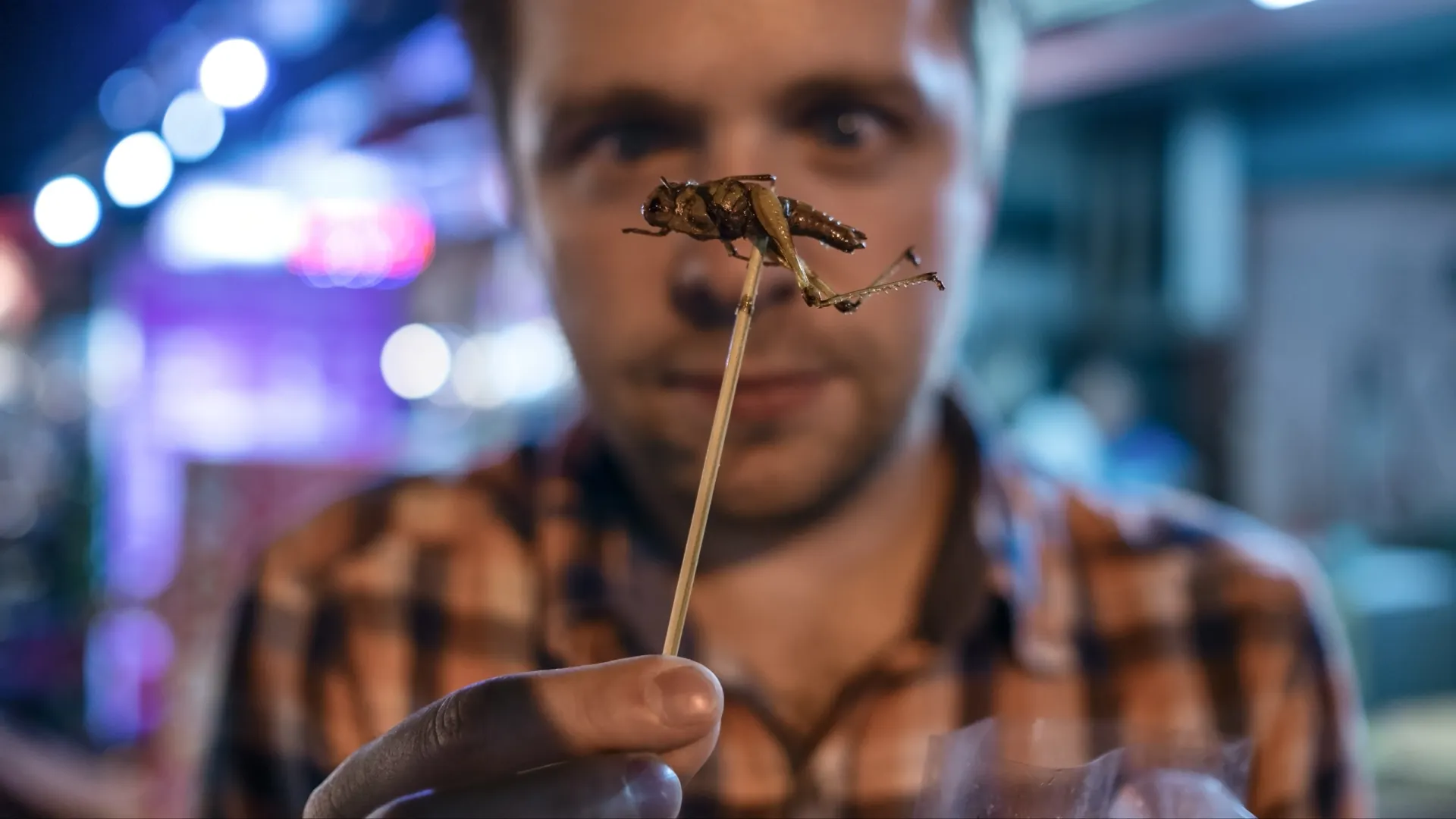 Фото: RealPeopleStudio/Shutterstock/Fotodom