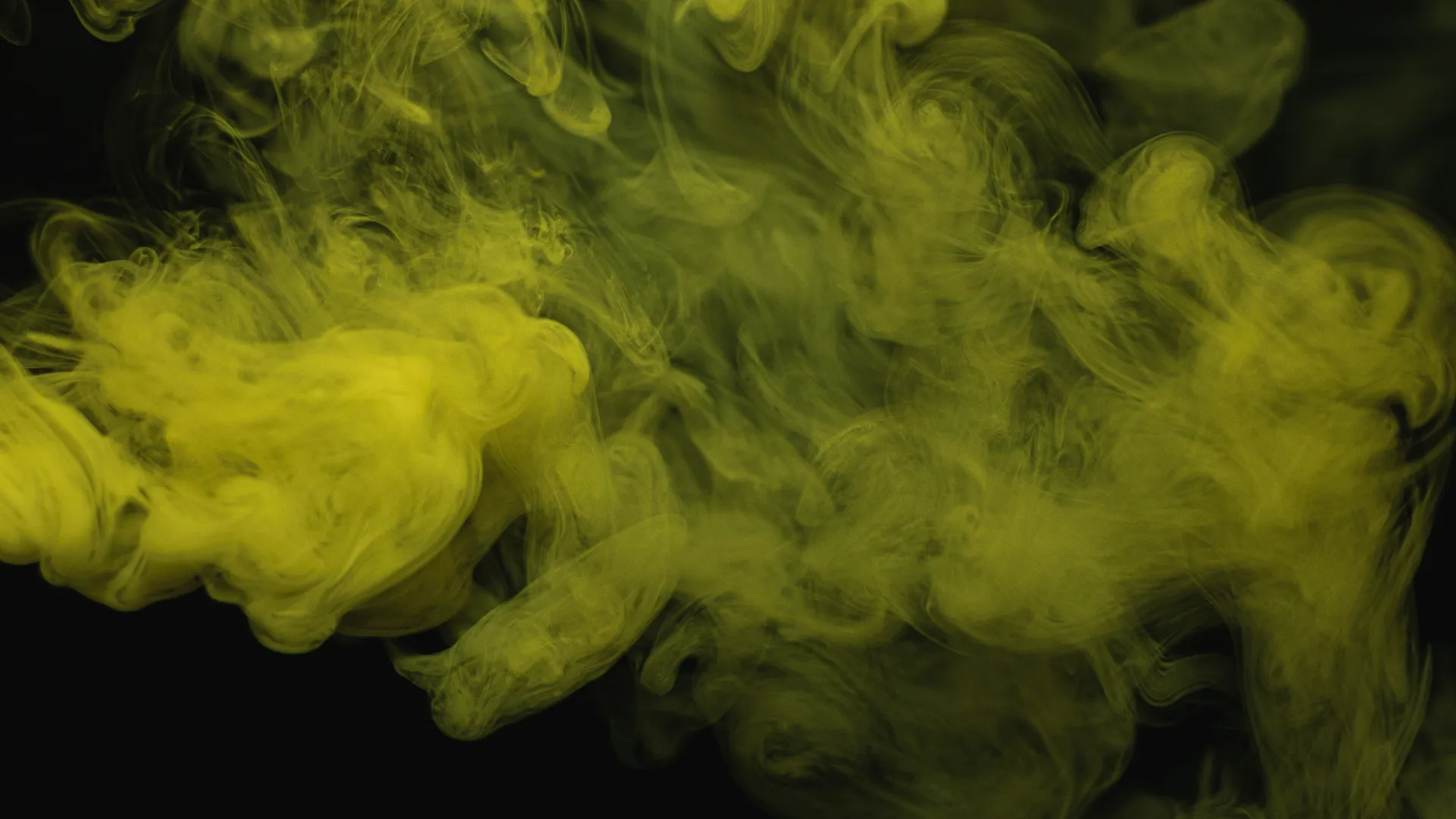 Echelon Photography / Shutterstock