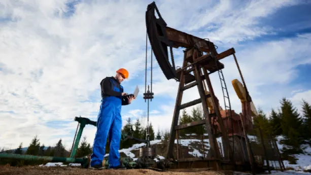 Shutterstock.com/Anatoliy_gleb