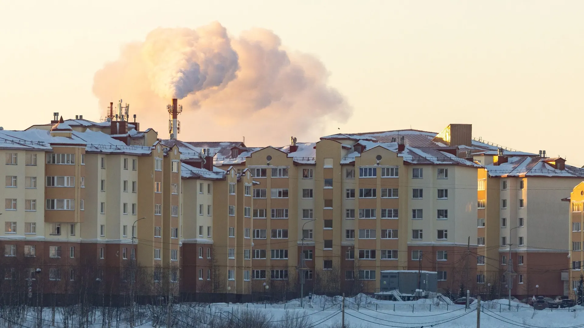 Фото: Федор Воронов/«Ямал-Медиа»