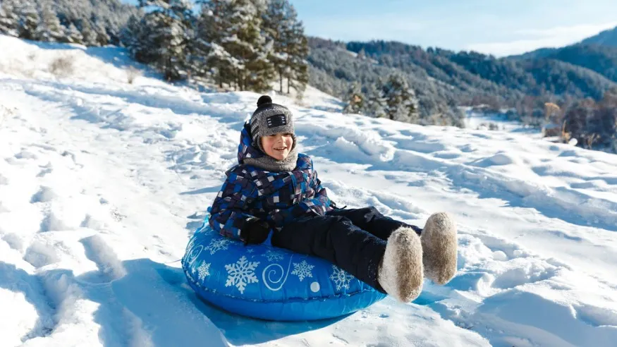 Фото: Marina-A/Shutterstock/Fotodom