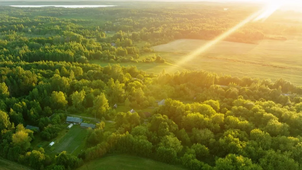 Фото: Maksim Safaniuk/Shutterstock/Fotodom