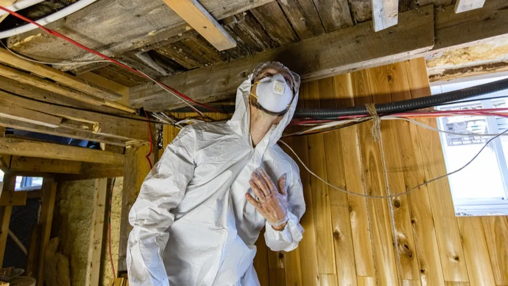 Фото: Valmedia/Shutterstock/Fotodom