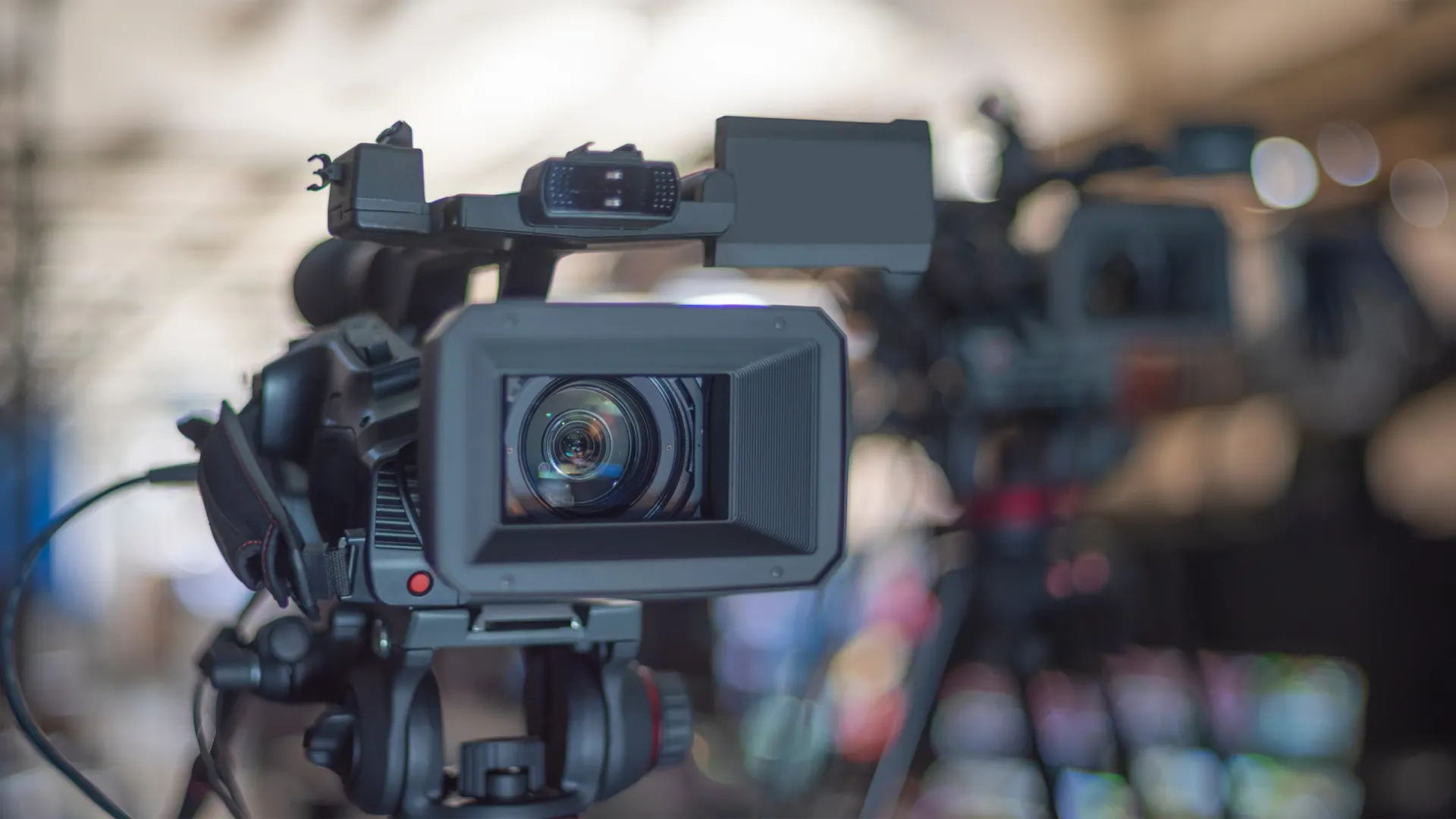 Фото: Skreidzeleu/Shutterstock/Photodom