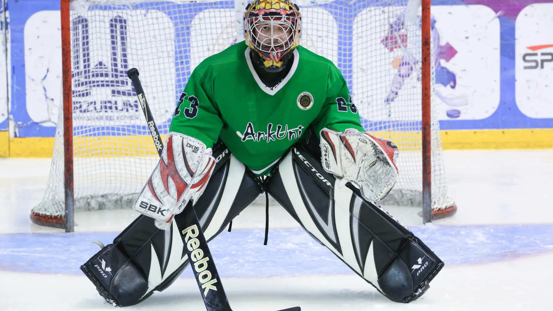 Фото: bodrumsurf/Shutterstock/Fotodom