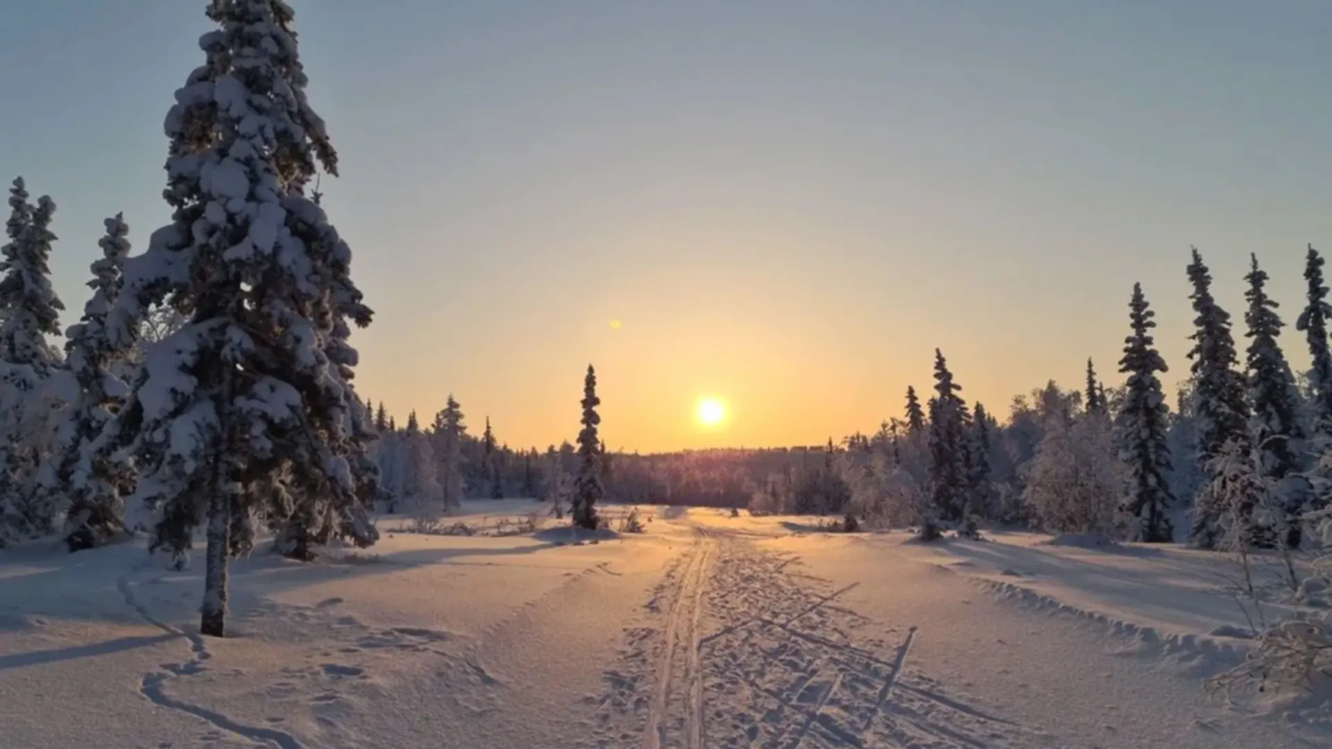Фото: Diiaz Misbakhov/Shutterstock/Fotodom